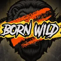 Born Wild screenshot